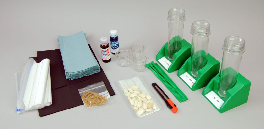 Plant Kit
